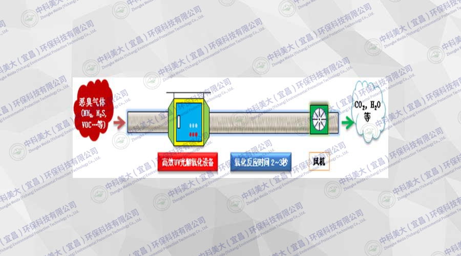 &#38886;&#24503;&#32593;&#31449;&#45;&#65288;&#20013;&#22269;&#65289;&#26377;&#38480;&#36131;&#20219;&#38886;&#24503;&#32593;&#31449;