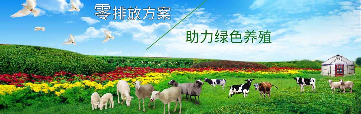 &#38886;&#24503;&#32593;&#31449;&#45;&#65288;&#20013;&#22269;&#65289;&#26377;&#38480;&#36131;&#20219;&#38886;&#24503;&#32593;&#31449;